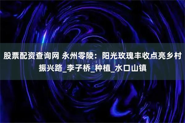 股票配资查询网 永州零陵：阳光玫瑰丰收点亮乡村振兴路_李子桥_种植_水口山镇