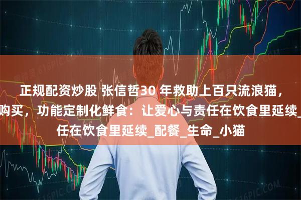 正规配资炒股 张信哲30 年救助上百只流浪猫，领养的温暖远胜购买，功能定制化鲜食：让爱心与责任在饮食里延续_配餐_生命_小猫