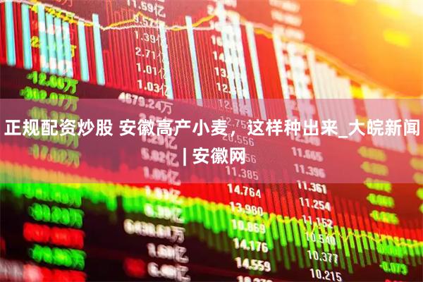 正规配资炒股 安徽高产小麦，这样种出来_大皖新闻 | 安徽网