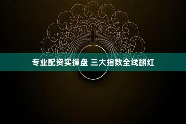 专业配资实操盘 三大指数全线翻红